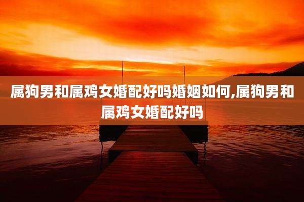 属狗男和属鸡女婚配好吗婚姻如何,属狗男和属鸡女婚配好吗