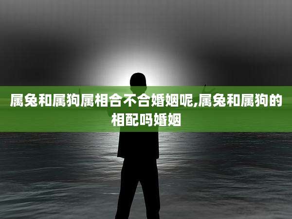 属兔和属狗属相合不合婚姻呢,属兔和属狗的相配吗婚姻