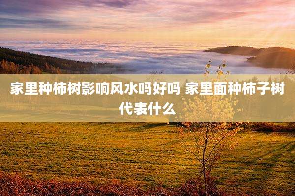 家里种柿树影响风水吗好吗 家里面种柿子树代表什么