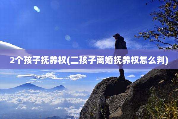 2个孩子抚养权(二孩子离婚抚养权怎么判)