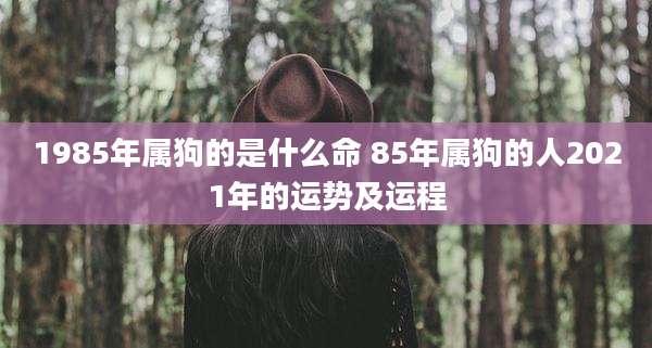 1985年属狗的是什么命 85年属狗的人2021年的运势及运程