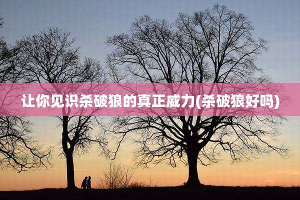 让你见识杀破狼的真正威力(杀破狼好吗)
