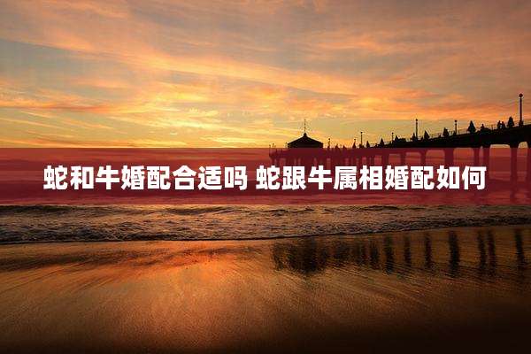 蛇和牛婚配合适吗 蛇跟牛属相婚配如何