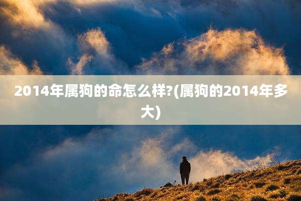 2014年属狗的命怎么样?(属狗的2014年多大)