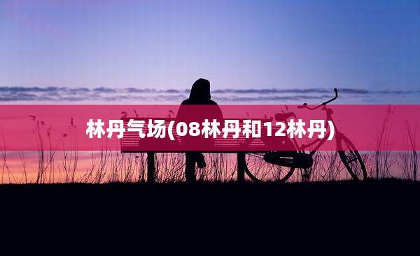 林丹气场(08林丹和12林丹)