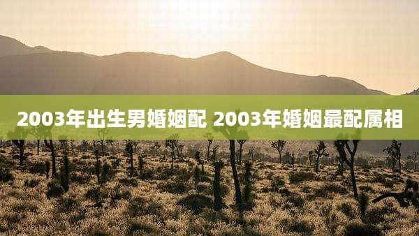 2003年出生男婚姻配 2003年婚姻最配属相