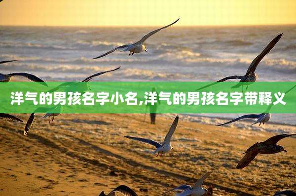 洋气的男孩名字小名,洋气的男孩名字带释义