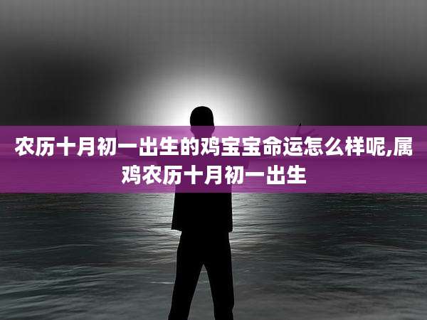 农历十月初一出生的鸡宝宝命运怎么样呢,属鸡农历十月初一出生