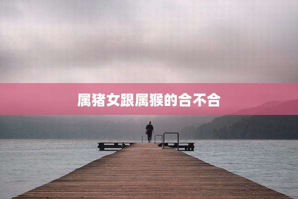 属猪女跟属猴的合不合