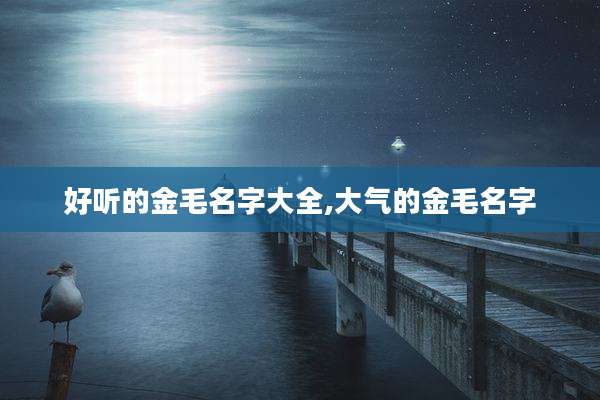 好听的金毛名字大全,大气的金毛名字