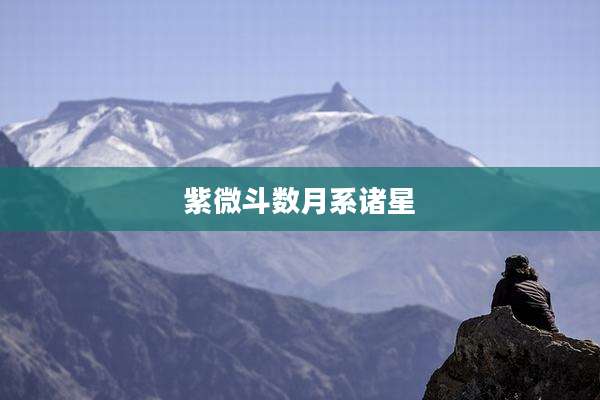 紫微斗数月系诸星