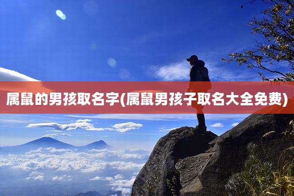 属鼠的男孩取名字(属鼠男孩子取名大全免费)
