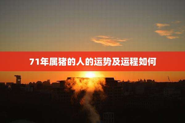 71年属猪的人的运势及运程如何