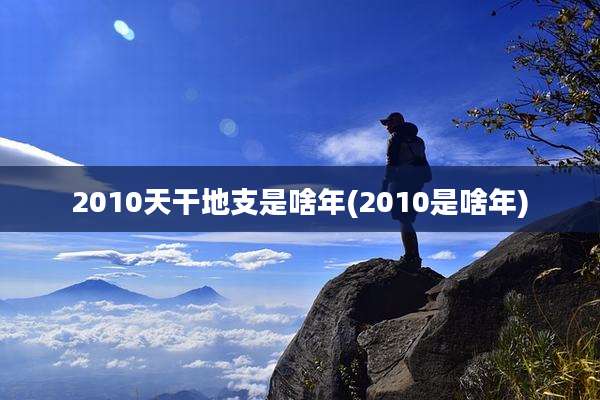 2010天干地支是啥年(2010是啥年)