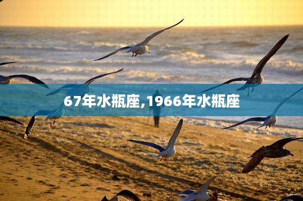 67年水瓶座,1966年水瓶座