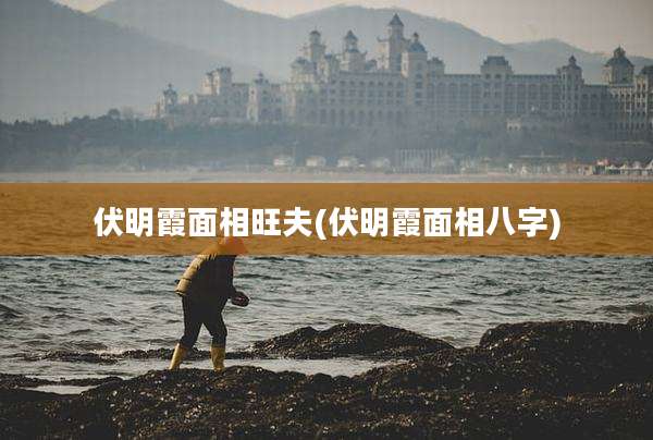 伏明霞面相旺夫(伏明霞面相八字)