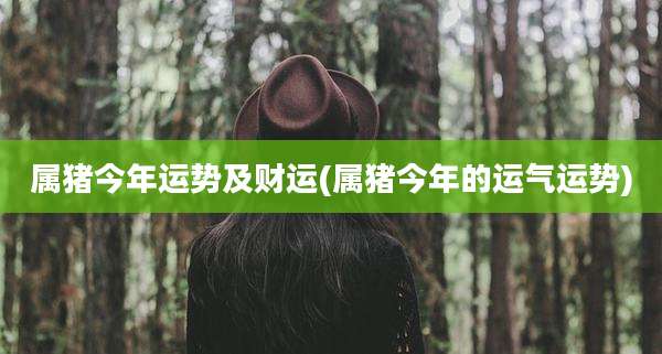 属猪今年运势及财运(属猪今年的运气运势)