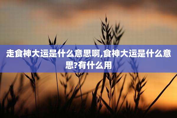走食神大运是什么意思啊,食神大运是什么意思?有什么用