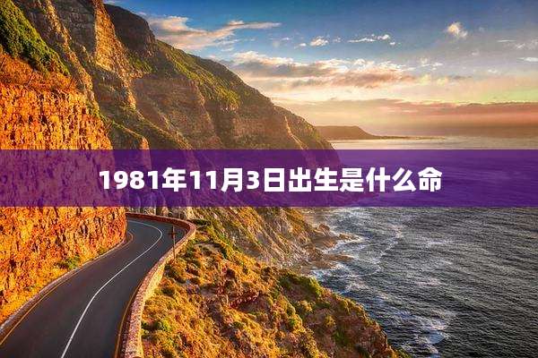 1981年11月3日出生是什么命