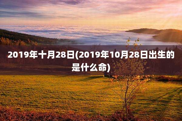 2019年十月28日(2019年10月28日出生的是什么命)
