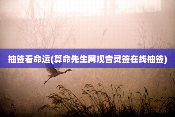 抽签看命运(算命先生网观音灵签在线抽签)