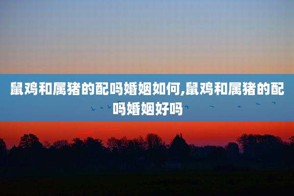 鼠鸡和属猪的配吗婚姻如何,鼠鸡和属猪的配吗婚姻好吗