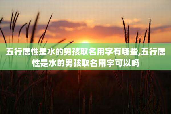 五行属性是水的男孩取名用字有哪些,五行属性是水的男孩取名用字可以吗