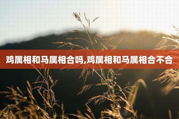 鸡属相和马属相合吗,鸡属相和马属相合不合