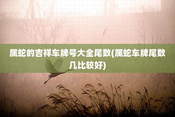 属蛇的吉祥车牌号大全尾数(属蛇车牌尾数几比较好)
