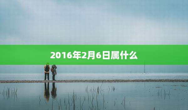 2016年2月6日属什么