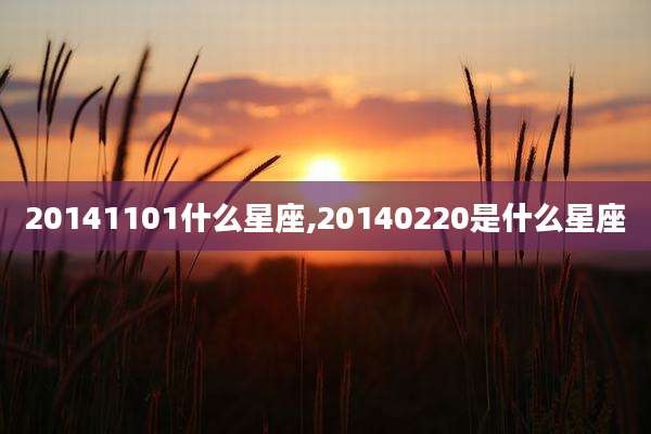 20141101什么星座,20140220是什么星座