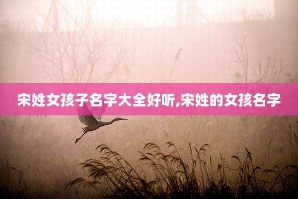 宋姓女孩子名字大全好听,宋姓的女孩名字