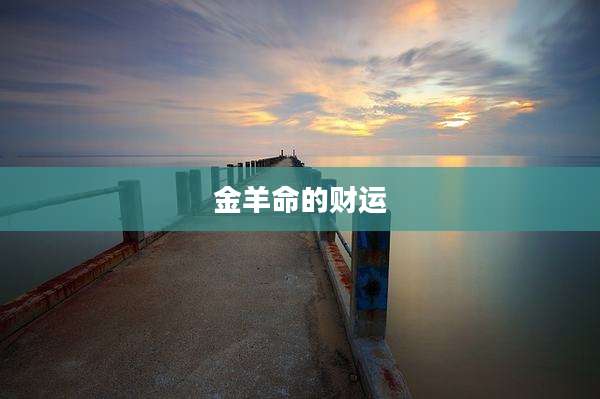金羊命的财运