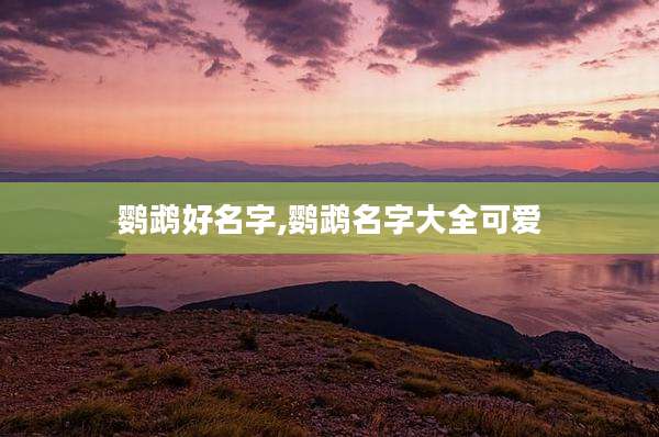 鹦鹉好名字,鹦鹉名字大全可爱
