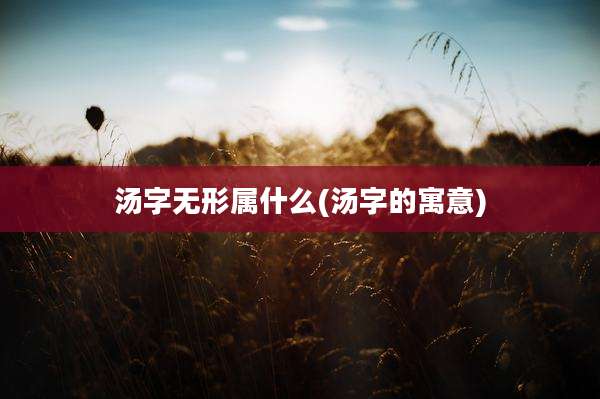 汤字无形属什么(汤字的寓意)