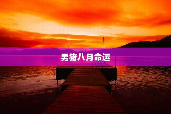 男猪八月命运