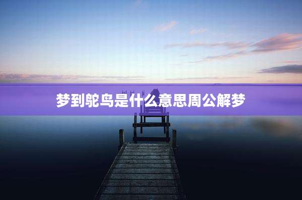 梦到鸵鸟是什么意思周公解梦