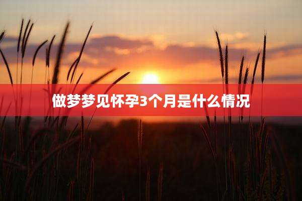 做梦梦见怀孕3个月是什么情况