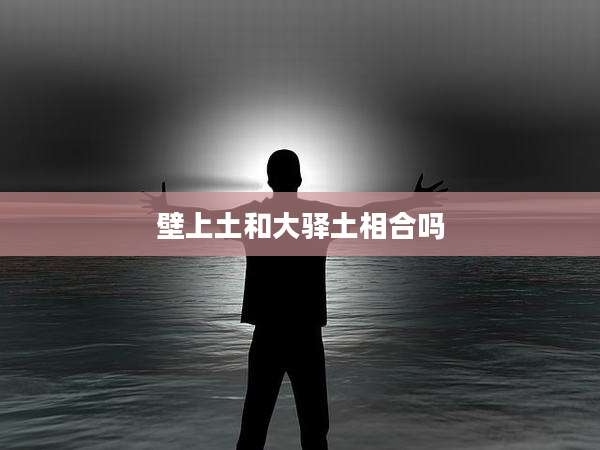 壁上土和大驿土相合吗