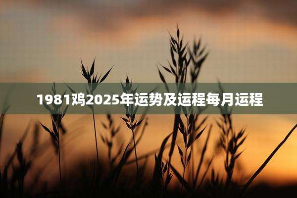 1981鸡2025年运势及运程每月运程