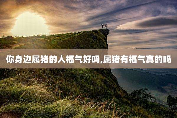 你身边属猪的人福气好吗,属猪有福气真的吗