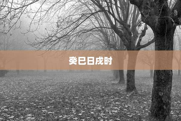 癸巳日戌时