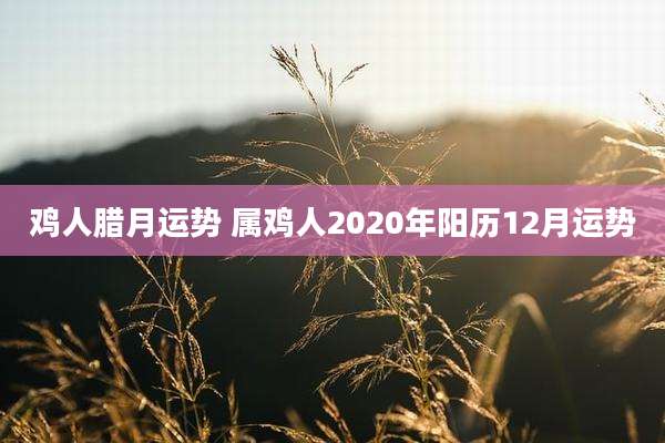 鸡人腊月运势 属鸡人2020年阳历12月运势