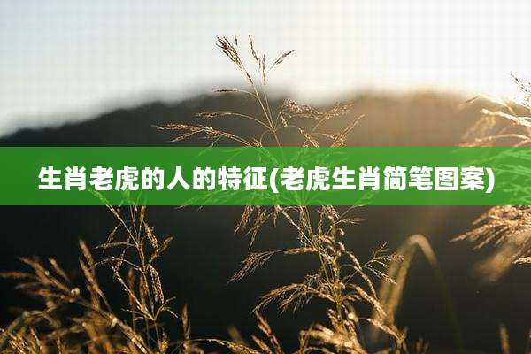 生肖老虎的人的特征(老虎生肖简笔图案)