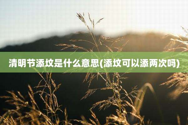 清明节添坟是什么意思(添坟可以添两次吗)