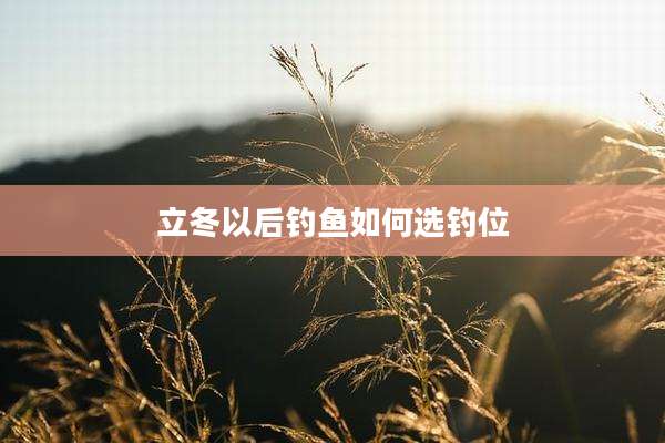 立冬以后钓鱼如何选钓位
