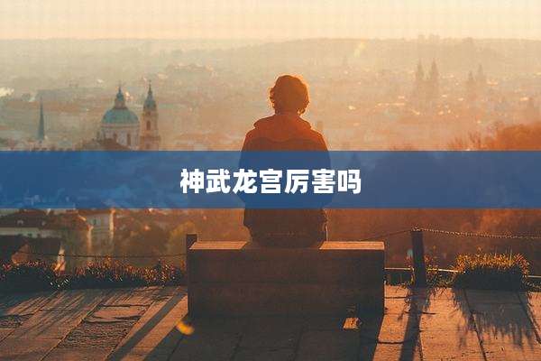 神武龙宫厉害吗