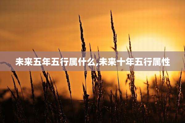 未来五年五行属什么,未来十年五行属性
