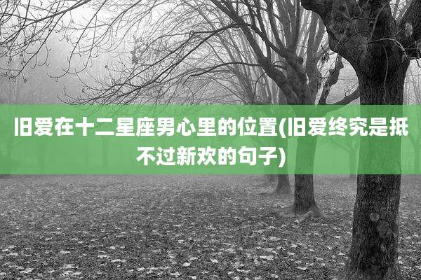 旧爱在十二星座男心里的位置(旧爱终究是抵不过新欢的句子)