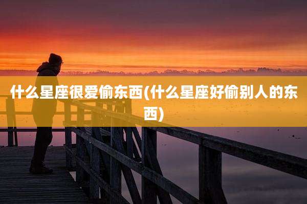 什么星座很爱偷东西(什么星座好偷别人的东西)